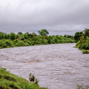 Kruger Narional Park 1